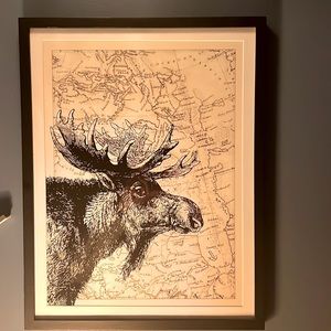 Framed Moose Picture Canada